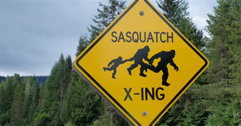 California 2nd Only To Washington In Bigfoot Sighting Reports Cbs