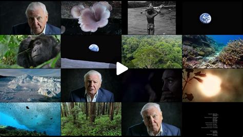 Watch David Attenborough A Life On Our Planet 2020 Movie Online Free