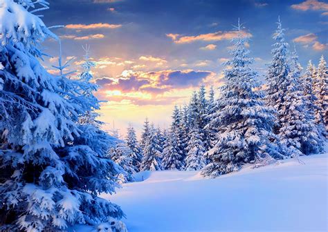 Snow Nature Wallpapers On Wallpaperdog