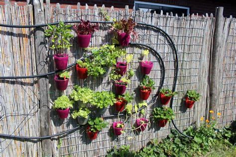 Vertical Garden Using Ikea Bygel Containers For Herbs