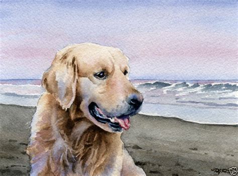 Golden Retriever Painting Dog 8 X 10 Art Print Signed By