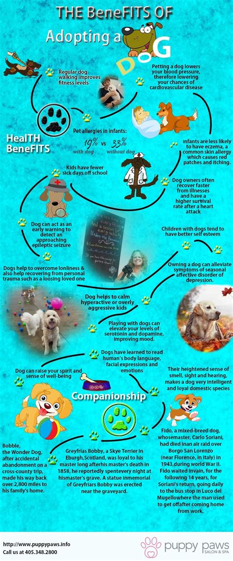 The Benefits Of Adopting A Dog Infographics