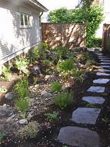 Pictures of Backyard Xeriscape Ideas