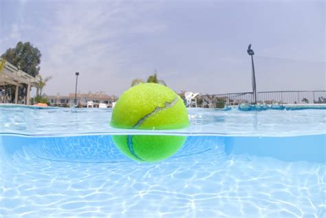 Do Tennis Balls Float Everything You Need To Know