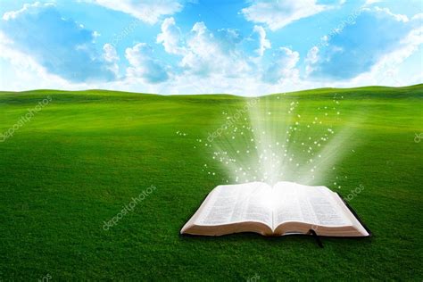 Bible On Grassy Field Stock Photo By ©kevron2002 11317280