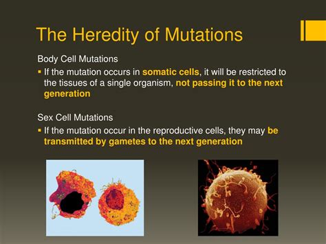 Ppt Mutations Powerpoint Presentation Free Download Id2016456