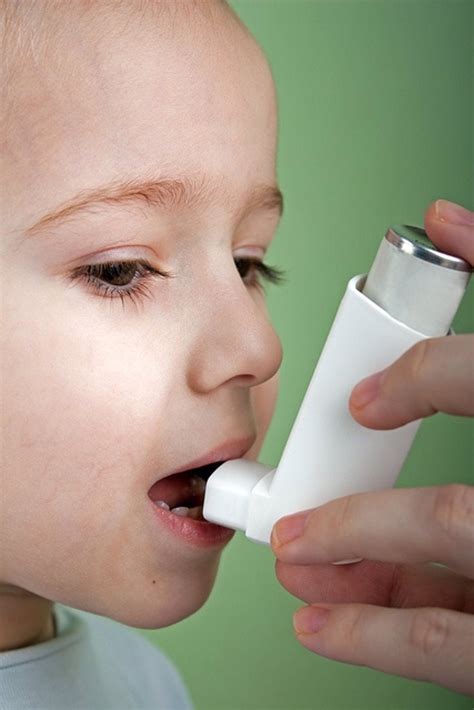 La Alergia A ácaros Del Polvo Doméstico En Niños Aumenta El Riesgo De Asma