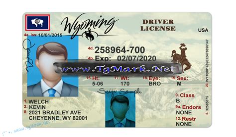 Free Driver License Template Photoshop Zomzaer