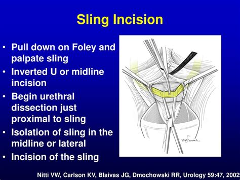 Ppt Urethral Obstruction Powerpoint Presentation Free Download Id