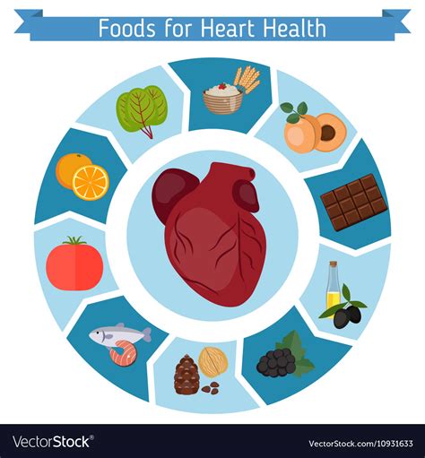 Healthy Heart Foods Infographics Royalty Free Vector Image