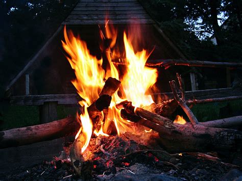 Firewood Flame Hot Motion Land Fire Camp Bonfire Wood Heat