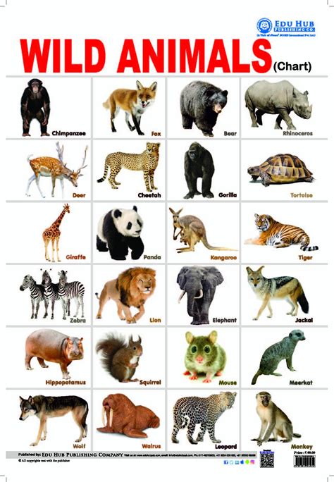 Top 153 Carnivores Animals Chart