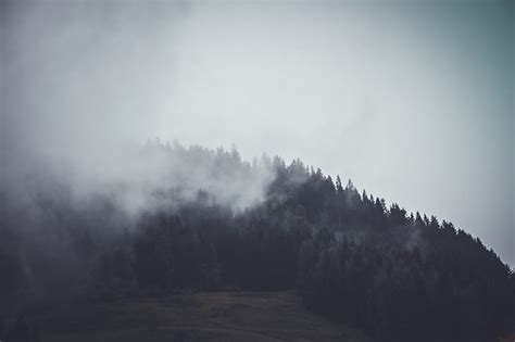 Royalty Free Photo Grayscale Photo Of Mountain Covered With Fogs Pickpik