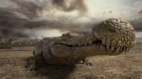 Terrifying Prehistoric Creatures Sarco Reptiles Mammals Dinosaur Art