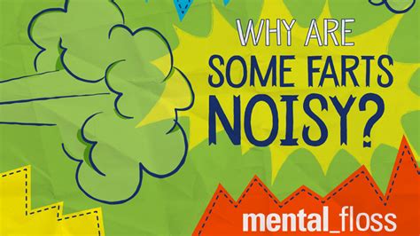 Why Are Some Farts Noisy Mental Floss