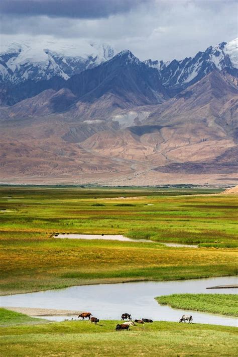 Fresh Green Meadows Of Prairie And Snow Capped Mountain Ranges Stock