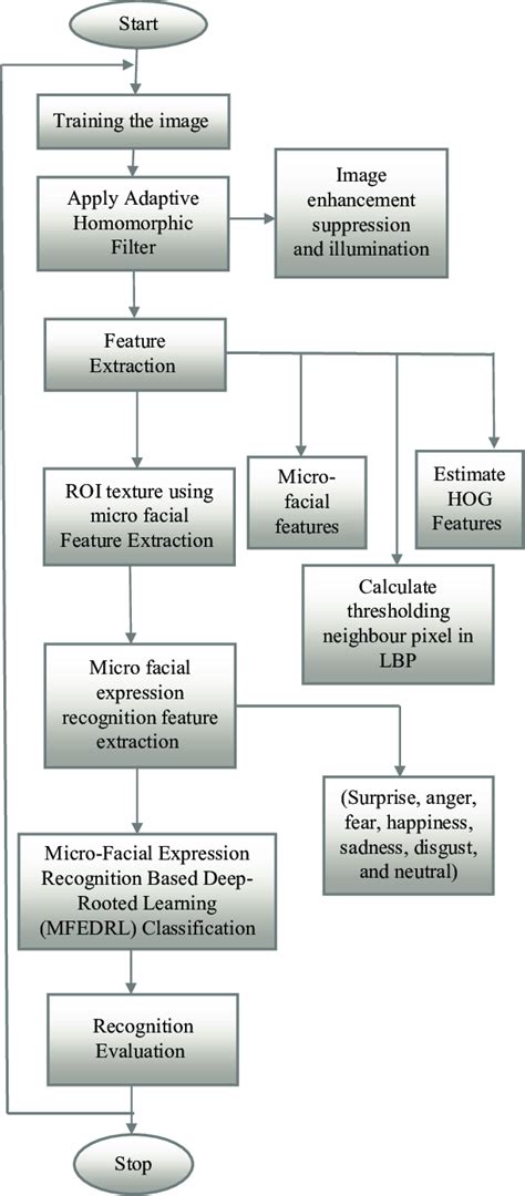 Flow Chart For Micro Facial Expression Recognition Based Deep Rooted Download Scientific