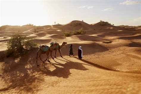 Morocco Sahara Desert Travel Tours All Tours And Trips In 20202021
