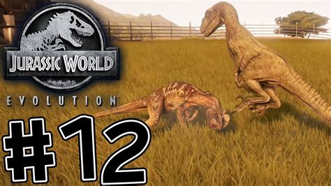 Jurassic World Evolution 12 Dilophosaurus Vs Velociraptor Youtube
