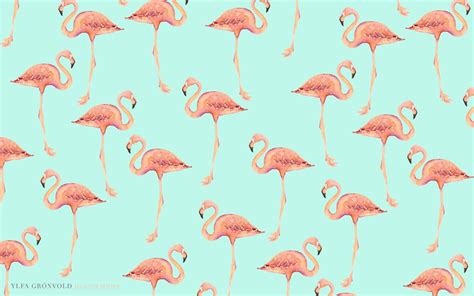 Flamingos Wallpapers Wallpaper Cave