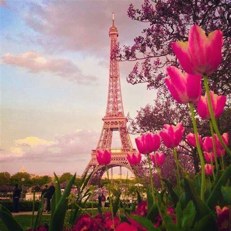 Tulipanes Paris Tower Eiffel Tower Places Around The World Around