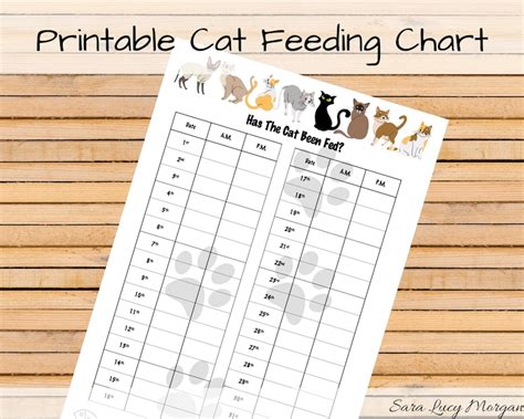 Printable Kitten Feeding Chart Customize And Print