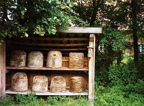 17 Best Images About Bee Skeps On Pinterest Gardens Vintage Bee And