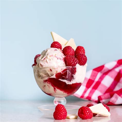 Ice Cream Fancy Raspberry Sundae Bowl Cold Frozen Food Dessert