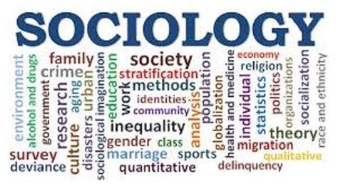 What Is Sociology Its Meanings Definition And Purpose Sociology