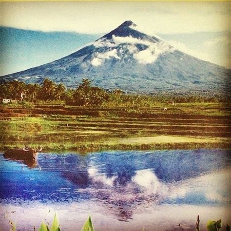 Mayon Volcano Natural Park Legaspi City
