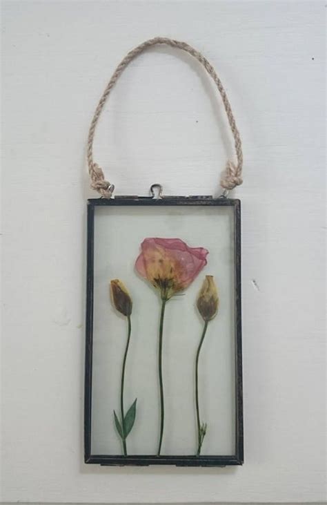 Pressed Flower Picture In Rustic Glass Frame Pressed Flowers Flower