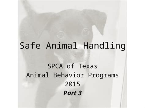 Pptx Safe Animal Handling Part 3 Dokumentips