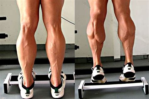 Growing Calves Xbodyconcepts Calf Muscle Workout Muscle Fitness
