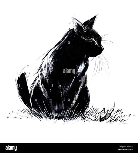 Dibujo De Gato Negro Fotografías E Imágenes De Alta Resolución Alamy