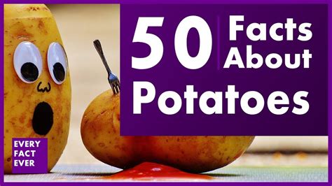 50 Facts About Potatoes Every Fact Ever Youtube