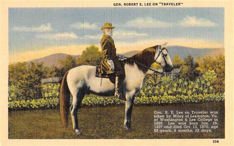 Robert E Lee On Horse Traveler Vintage Postcard Robert E Lee