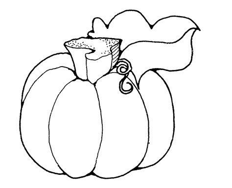 Simple pumpkin coloring page from pumpkins category. Free Printable Pumpkin Coloring Pages For Kids