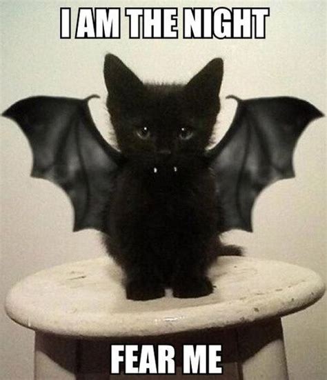 I Am The Night Fear Me Pictures Photos And Images For Facebook Tumblr Pinterest And Twitter