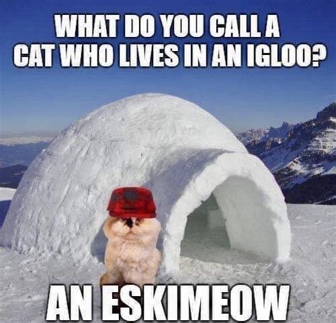 Snow Meme Snow Meme Snow Humor Memes