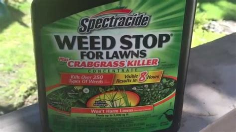 Pour boiling water directly on the crabgrass plant. Spectracide Weedstop For Lawns Review How To Get Rid Of ...