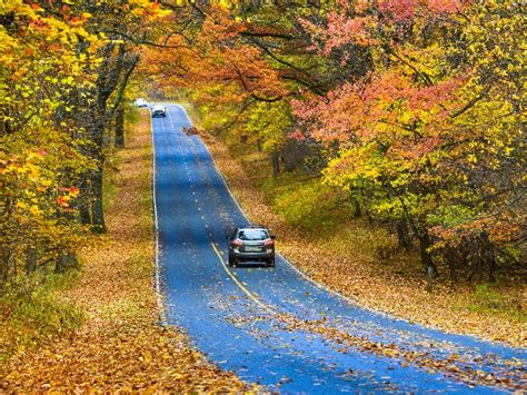 10 Best Places In America For A Fall Foliage Road Trip Tripstodiscover