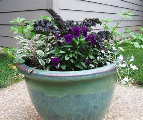 Our Front Porch Winter Container Gardens Tips And Tricks