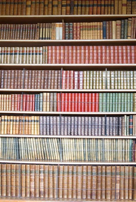 Library Book Shelf Stock Photo Image Of Volumes Information 37560348