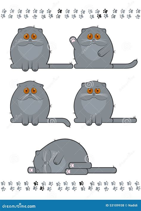 Grey Cat Stock Vector Illustration Of Element Chubby 53109938