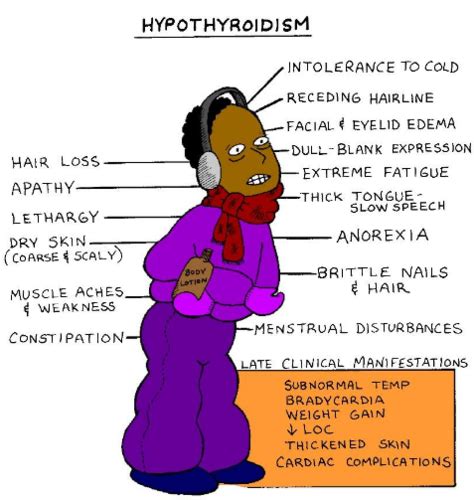 Hypothyroidismhyperthyroidism And Other Thyroid Disorders Flashcards