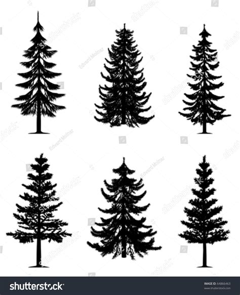 Pine Trees Collection Vector 64866463 Shutterstock