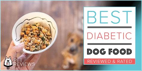 10 Best Diabetic Dog Food Brands Non Prescription In 2023