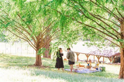 Spring Picnic Proposal In Raleigh Park — Southern Picnics