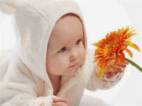 Cute Cell Phone Wallpapers Hd Mobile Wallpapers Hd Baby And Flower