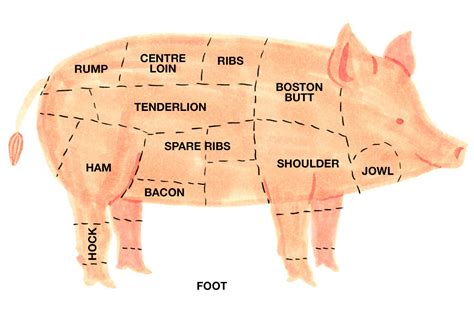 Pork is the culinary name for meat from the domestic pig (sus domesticus), which is eaten in many countries. What's East, What's West When it Comes to Pork? | Foodie